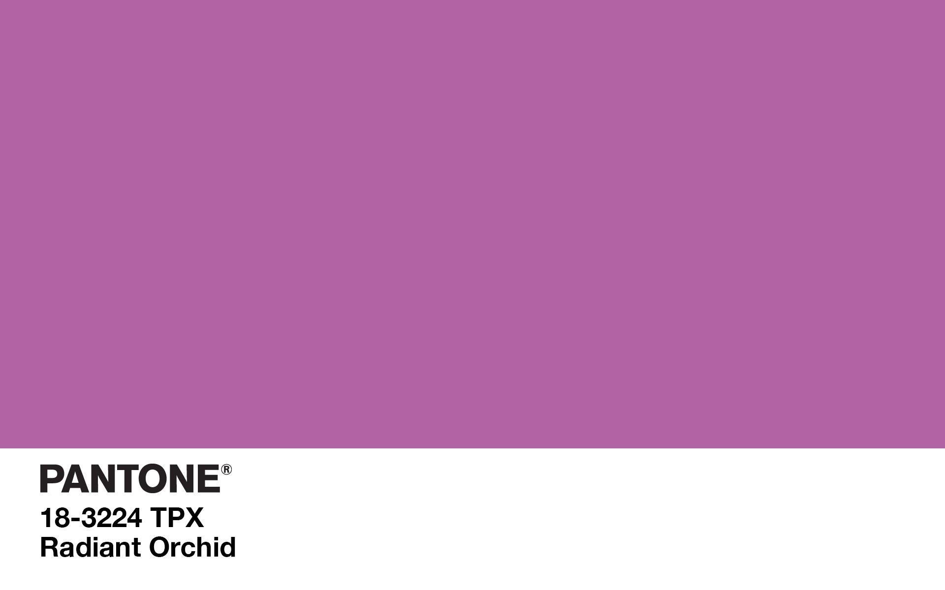 Pantone Colour of the Year: The 21st Century.
